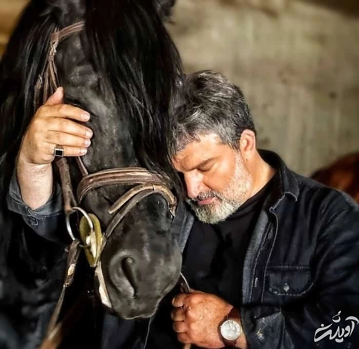 مهدی سلطانی